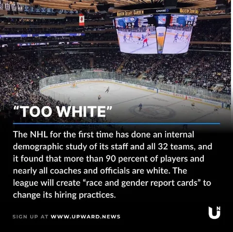NHL Is Too White