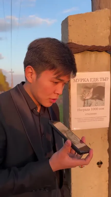Мурка, где ты?