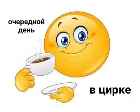 Очередной день в цирке