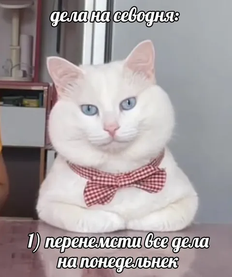 Дела на сегодня: всё перенести
