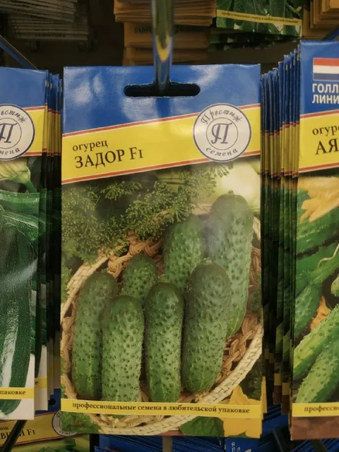 Огурец с необычным названием