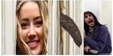 Белок за окном