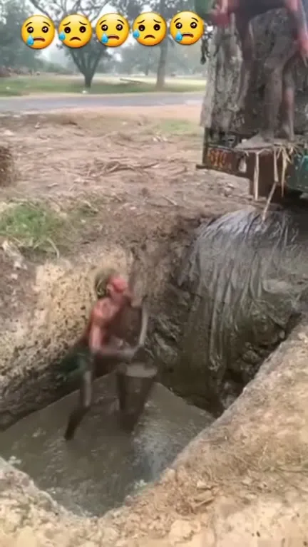 Спасение в грязной канаве