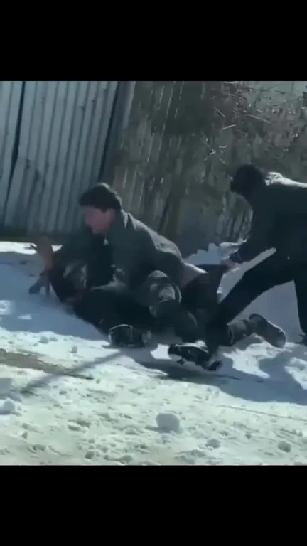 Борьба в снегу