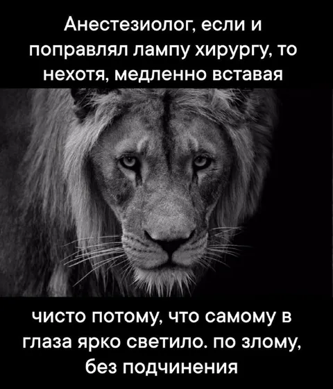 Анестезиолог чинит лампу хирургу