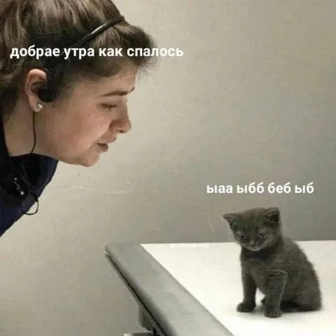 Добрае утра как спалось