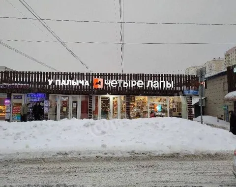 Папыча и четыре лапы