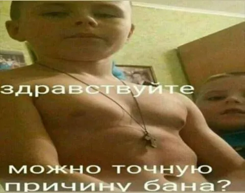Здравствуйте, можно точную причину бана?