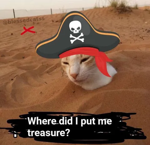 Pirate Cat Lost Treasure