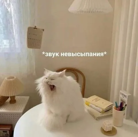 Звук невысыпания