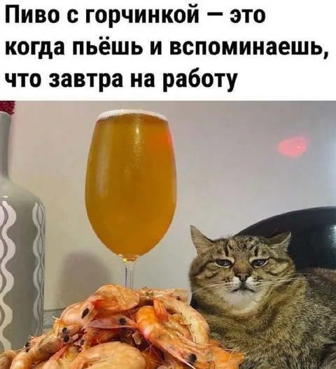 Пиво с горчинкой перед работой