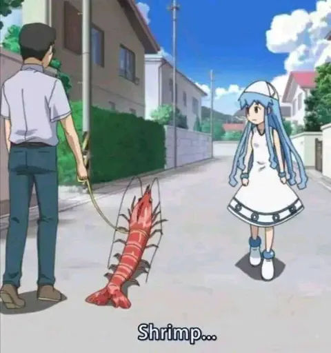Squid Girl Walks a Shrimp