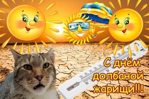С днём долбаной жарыщии