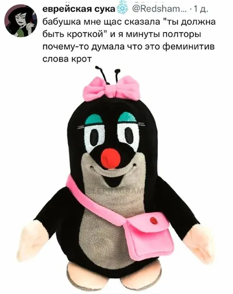Феминитив слова «крот»