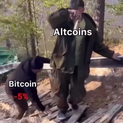 Altcoins Crash While Bitcoin Holds