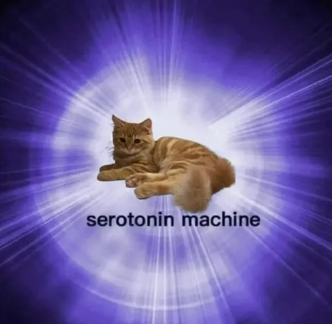 Serotonin Machine Cat