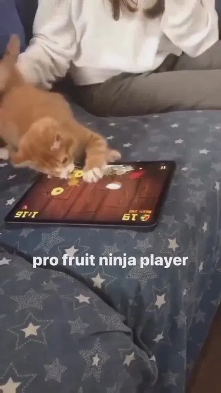 Pro Fruit Ninja Player