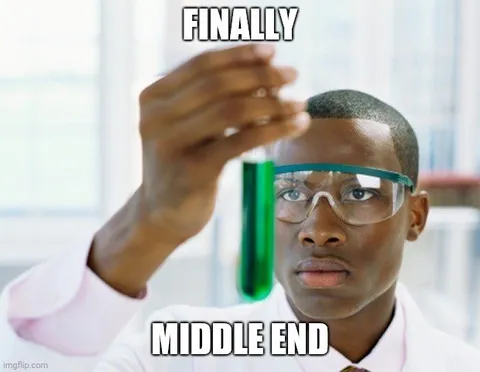 Finally Middle End Scientist