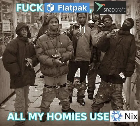 All My Homies Use Nix