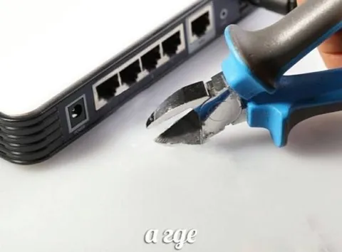 Cutting the Internet Connection