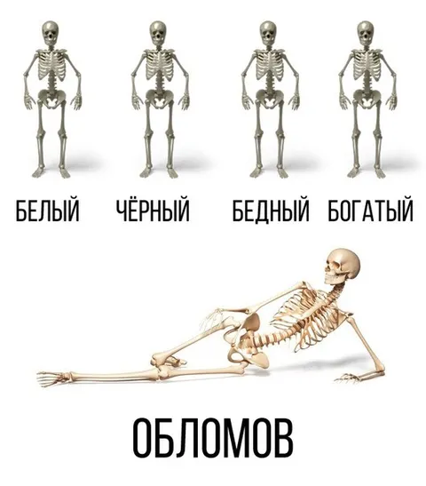 Скелет Обломова