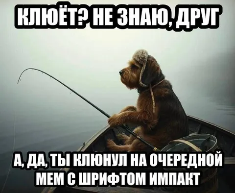 Собака на очередной мем