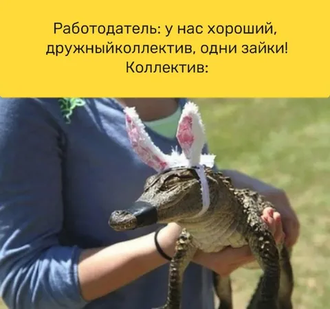 Работодатель обещает одних зайчиков