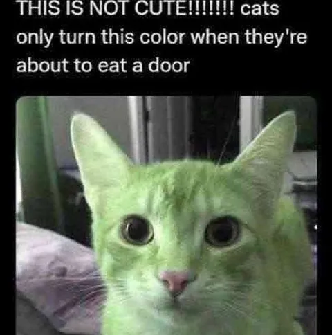 Green Cat Eats a Door