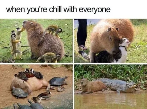 When You're Chill With Everyone