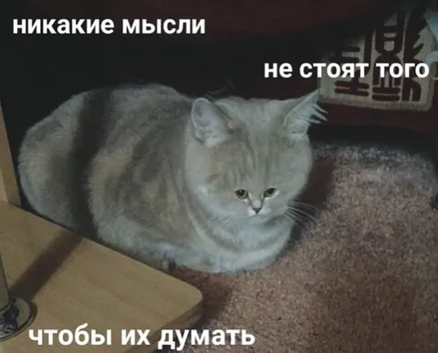 Никакие мысли не стоят того