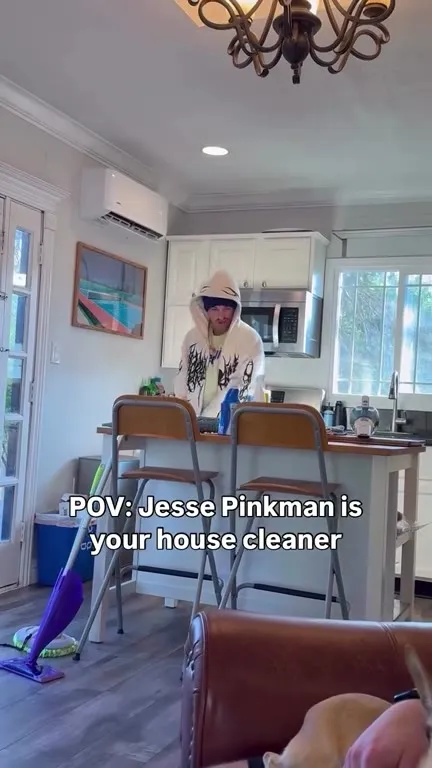 Jesse Pinkman Is Your Cleaner