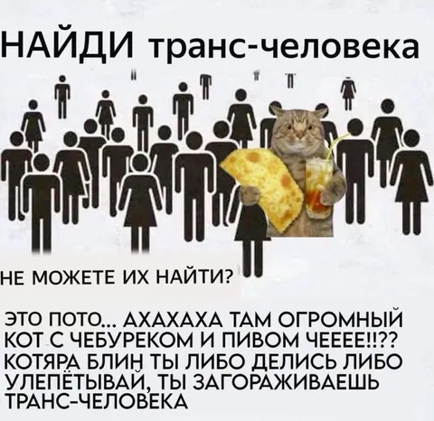 Кот с чебуреком среди транс-людей