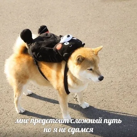 Мне предстоит сложный путь
