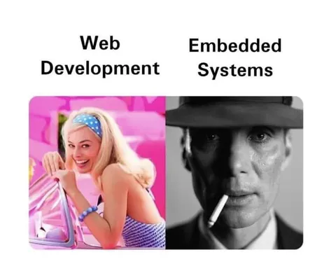 Web Development vs Embedded Systems