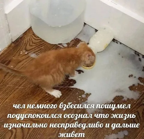 Жизнь изначально несправедлива