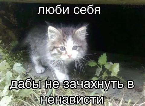 Люби себя, дабы не зачахнуть