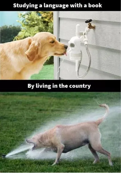Studying Languages by Living Country