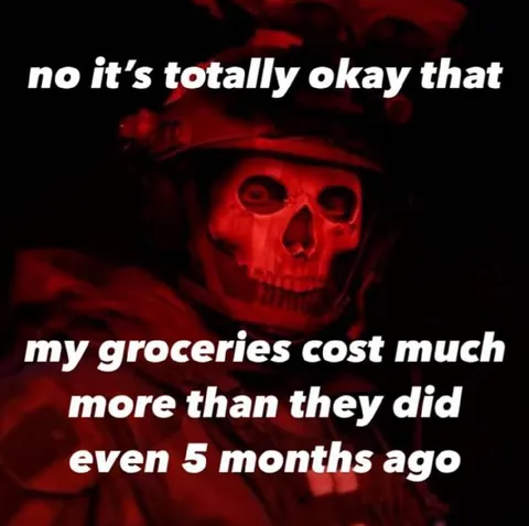 Groceries Cost Much More Now