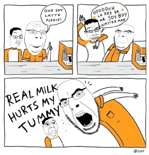 Real Milk Hurts My Tummy