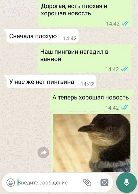 Пингвин нагадил в ванной