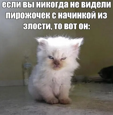 Злой пирожочек с начинкой