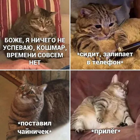 Ничего не успеваю, но лежу