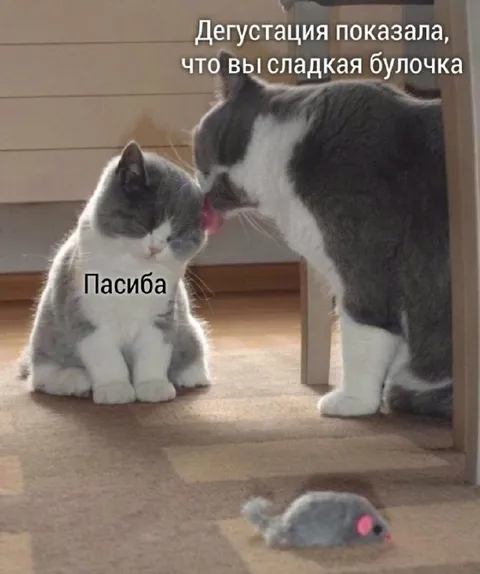 Сладкая булочка и дегустация
