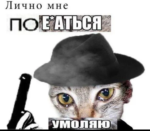Лично мне поебаться умоляю