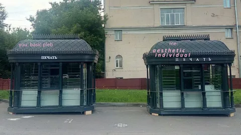Basic Pleb vs Aesthetic Individual