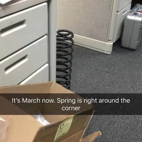 Spring Is Right Around the Corner