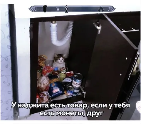 У каджита есть товар
