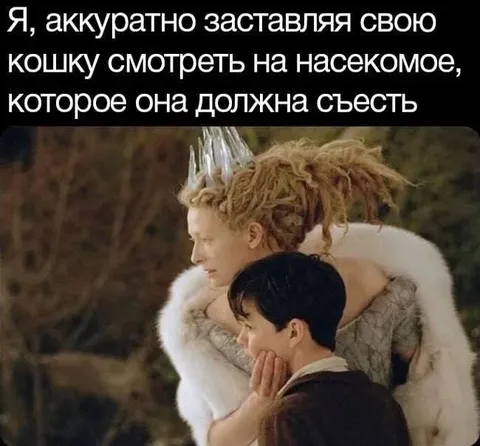 Кошка смотрит на насекомое