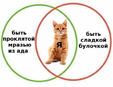 Я между двух крайностей
