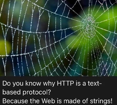HTTP Web Made of Strings Joke